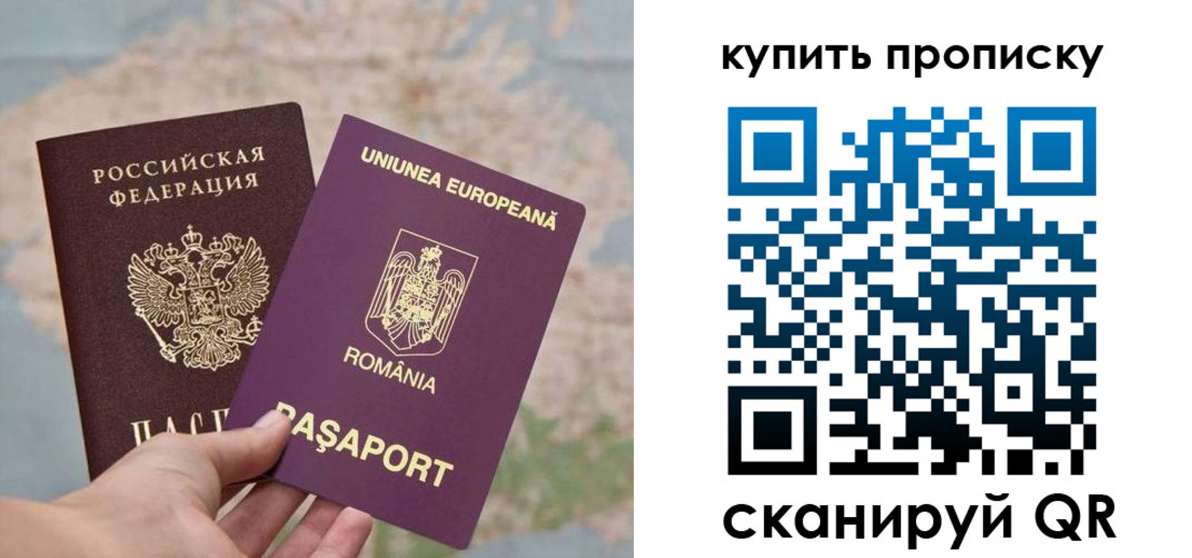 временная регистрация поиск в Апатитах